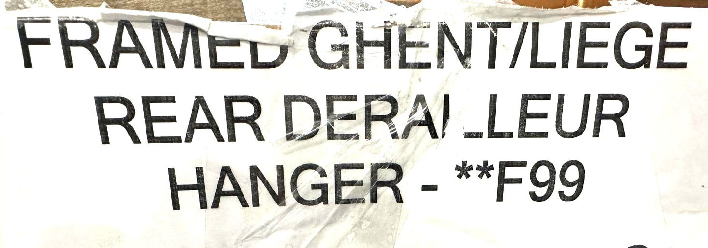 DERAILLEUR HANGER 96 for BH Bianchi DiamondBack Marin KHS GT Fuji Framed Raleigh - Random Bike Parts