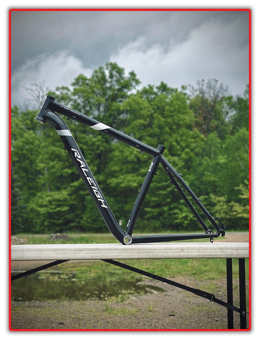 2017 Raleigh 15" TEKOA Hardtail 6061 Alloy Mountain Frame 29" QR Wheels New NOS